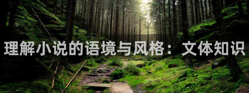 小说小说阅读吧