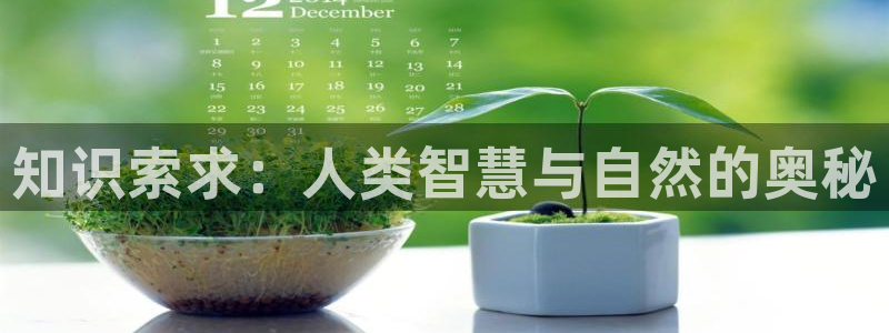 免费完结小说阅读