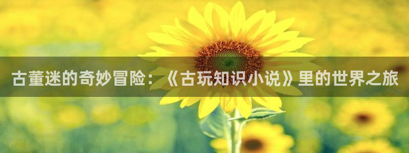 在哪里看免费的小说阅读